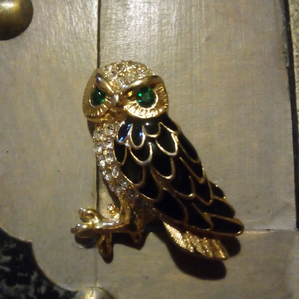 Pretty Rhinestone Enameled Owl Pin Brooch
